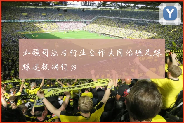 加强司法与行业合作共同治理足球球迷极端行为